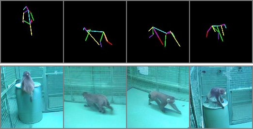 Pose skeleton control signals and macaque reconstruction