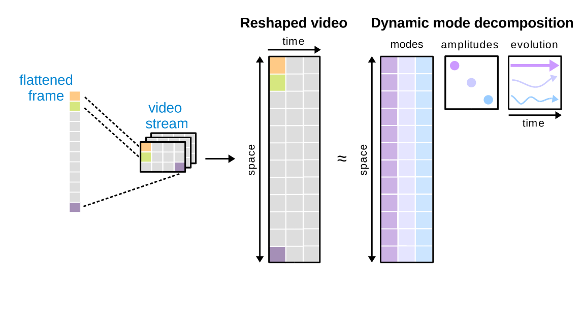 Dynamic Mode Decomposition pipeline diagram