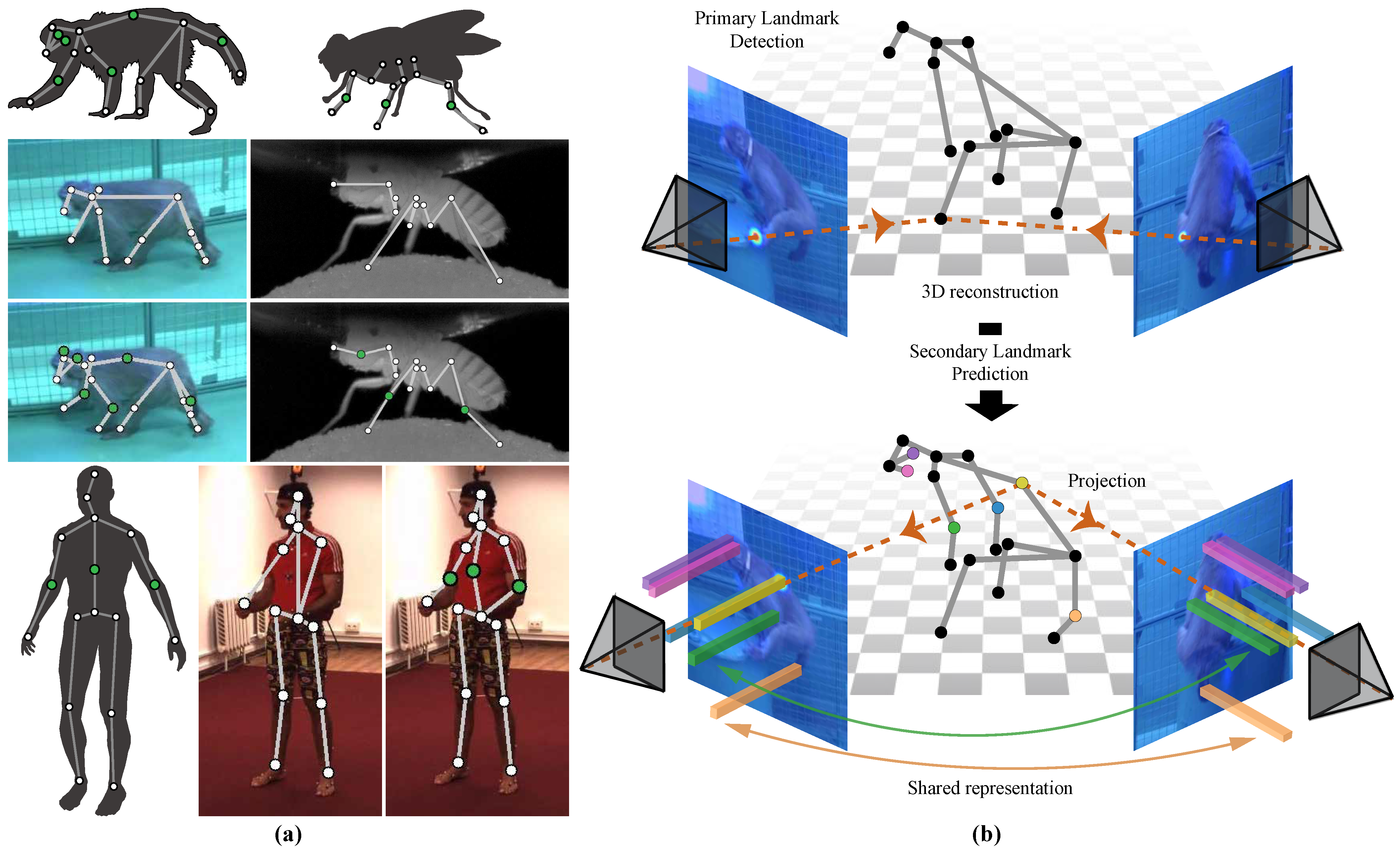 Secondary landmark detection teaser